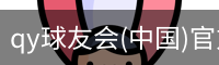 QY球友会官网